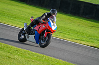 anglesey;brands-hatch;cadwell-park;croft;donington-park;enduro-digital-images;event-digital-images;eventdigitalimages;mallory;no-limits;oulton-park;peter-wileman-photography;racing-digital-images;silverstone;snetterton;trackday-digital-images;trackday-photos;vmcc-banbury-run;welsh-2-day-enduro